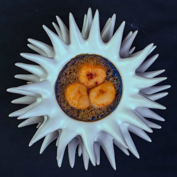 Coquille Saint-Jacques