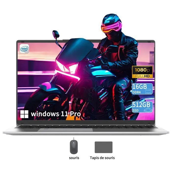 PC portable-17.3",Intel Celeron N5095(4C/4T,Jusqu'à 2,9 GHz),16Go RAM DDR4 512Go SSD,Windows 11PRO,WiFi5,HDMI